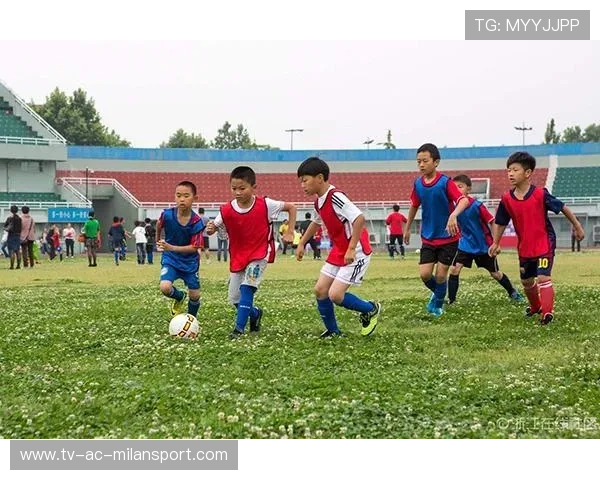 中国足球青训营安全防护与风险预警制度，中国足球青训体系现状