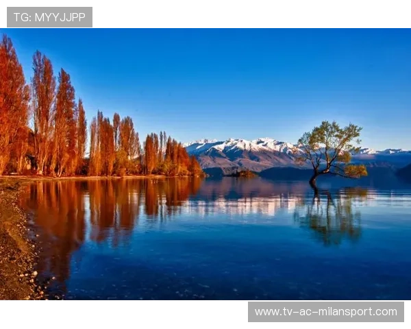 新西兰继续稳定发挥，晋级决赛在望，新西兰whv2021