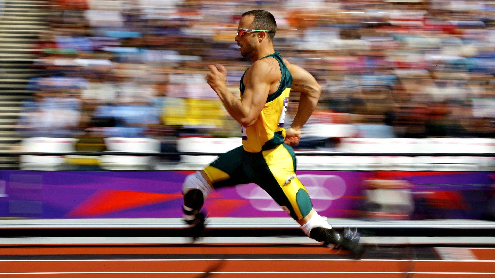 体育新闻中心发布运动员健康数据管理平台,运动员 健康